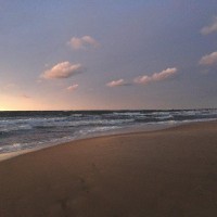 IMG_7874_1.jpg